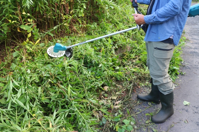 男性が草刈りをしている