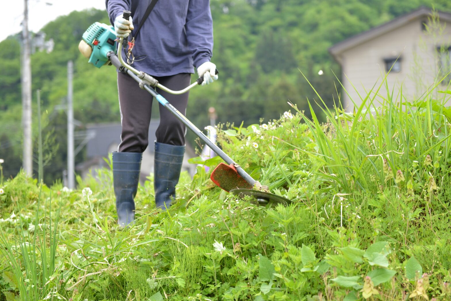 いまさら聞けない草刈り機（刈払機）の使い方。初心者でも使いこなすコツや注意点を徹底解説｜マイナビ農業, 41% OFF