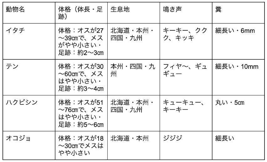 イタチとテンの違い比較表