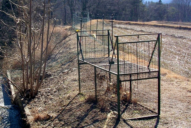 害獣駆除は自分でできる