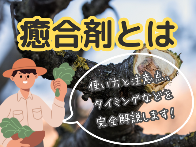 癒合剤 樹木切り口保護剤 1/2/3個セット 植物癒合剤 はみ出し 植物