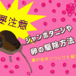 ジャンボタニシや卵の駆除方法