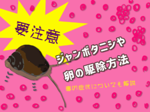 ジャンボタニシや卵の駆除方法