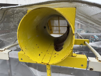 籾殻散布機 熊谷農機 MT-25X