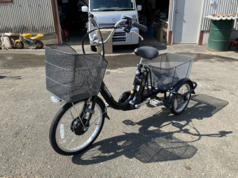 電動自転車 ペルテック TDR-163L