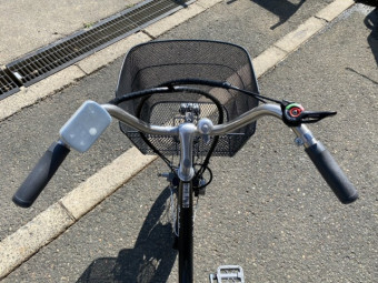 電動自転車 ペルテック TDR-163L