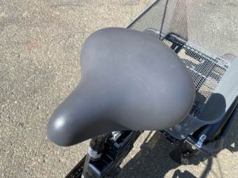 電動自転車 ペルテック TDR-163L
