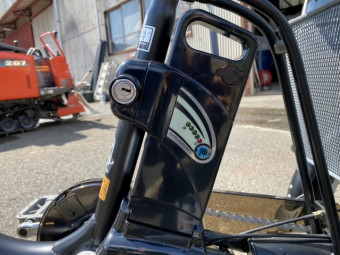 電動自転車 ペルテック TDR-163L