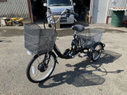 電動自転車 ペルテック TDR-163L